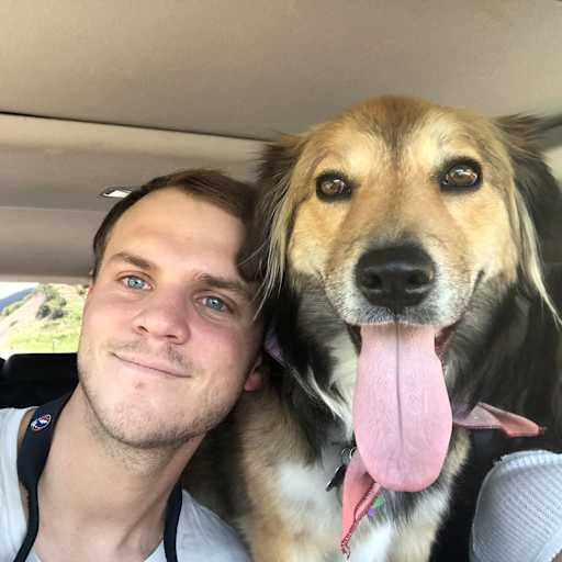 Profile image for pet sitter Will