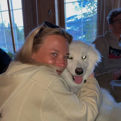 Profile image for pet sitter Anna