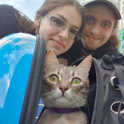 Profile image for pet sitters Liliia & Andrii