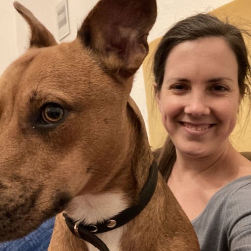 Profile image for pet sitter Johanna