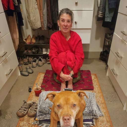 Profile image for pet sitter Nathalie