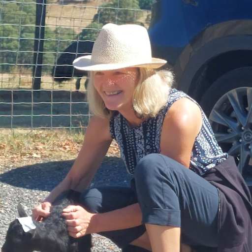 Profile image for pet sitter Suzanne