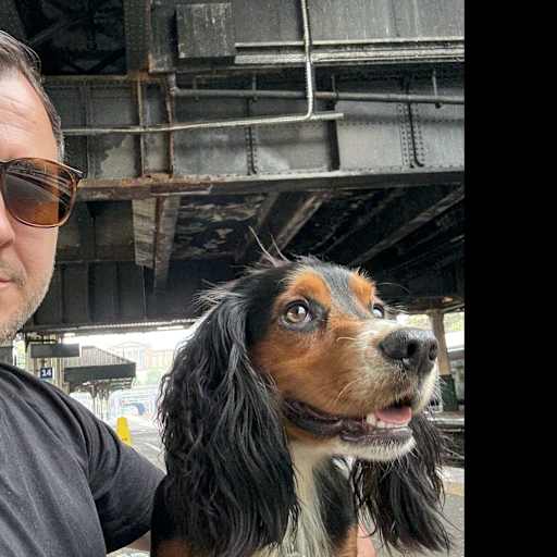 Profile image for pet sitter Michael