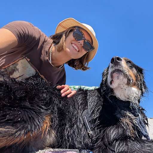 Profile image for pet sitter Chloe