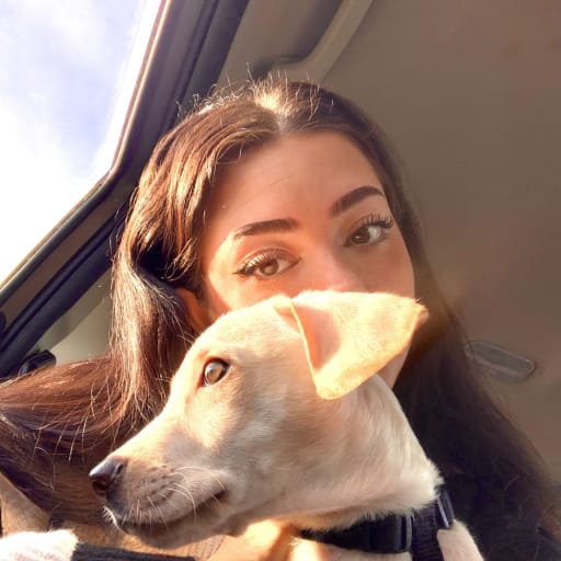 Profile image for pet sitters Maeva & Thomas