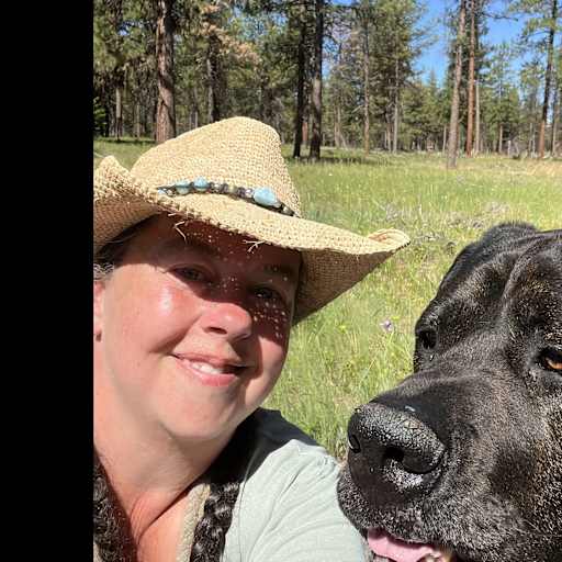 Profile image for pet sitters Julie & Tyler