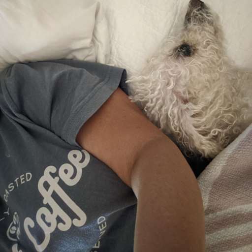 Profile image for pet sitters Lee and Lila & Lee