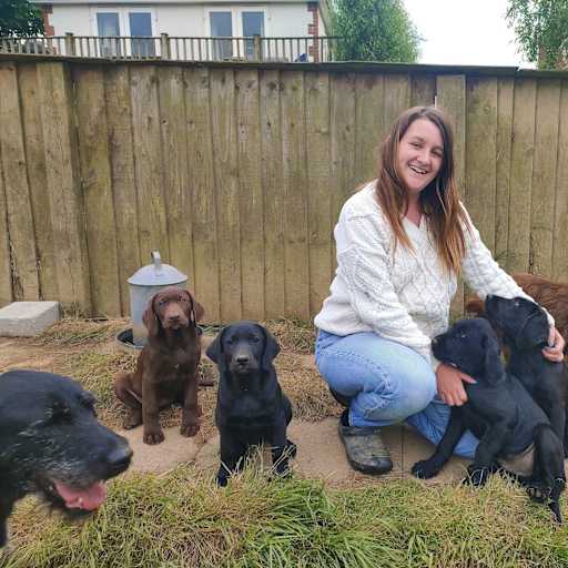 Profile image for pet sitters Meg & George