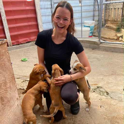 Profile image for pet sitters Annalea & Viktoria