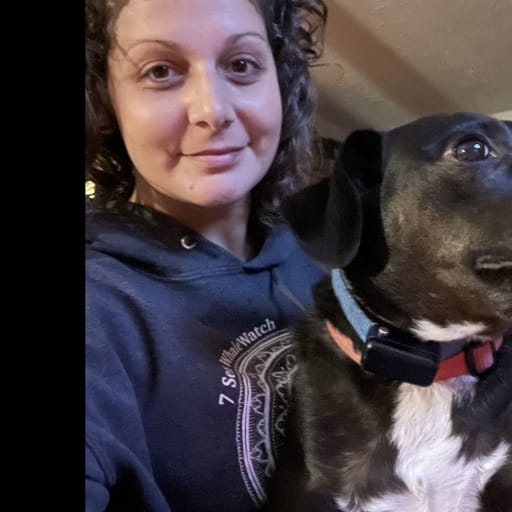 Profile image for pet sitter Lisa