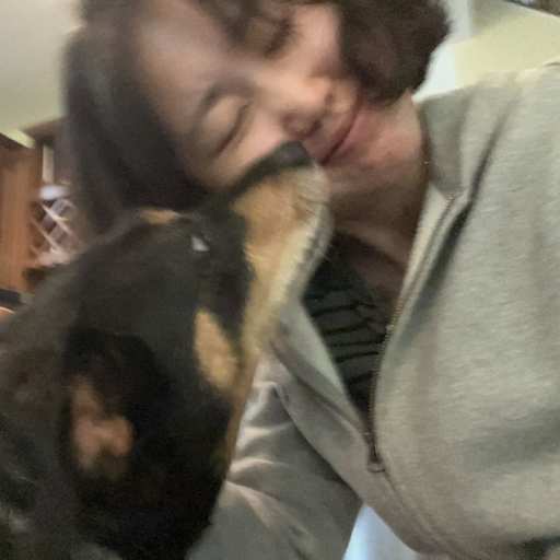 Profile image for pet sitter Hoyeon