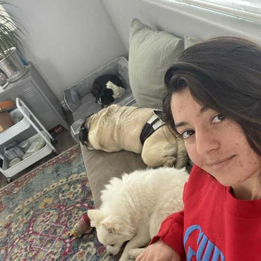 Profile image for pet sitters Jada & Teddy