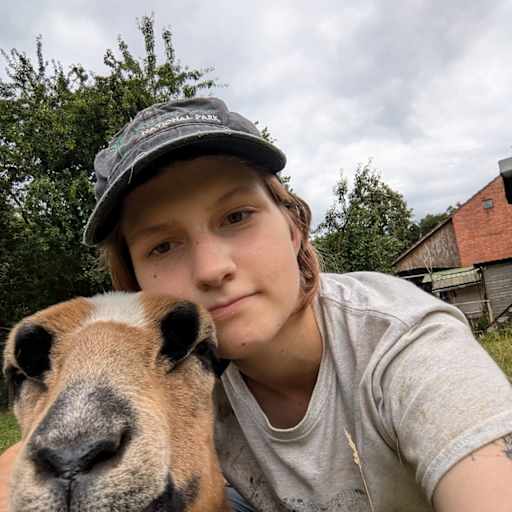 Profile image for pet sitter Evren