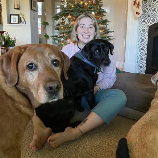 Profile image for pet sitter Emily