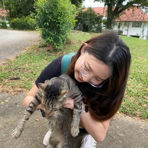 Profile image for pet sitter Peilin