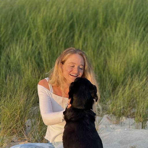 Profile image for pet sitter Alice