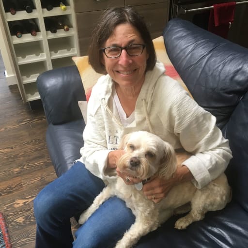 Profile image for pet sitter Judith