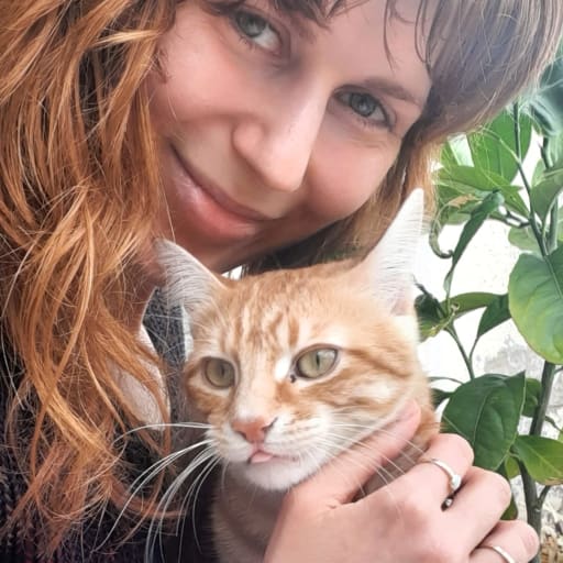 Profile image for pet sitters Alexandra & Jérémy