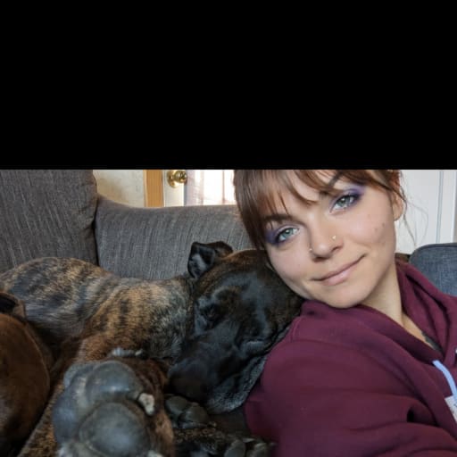 Profile image for pet sitter Katie