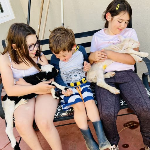 Profile image for pet sitters Michelle & Drew