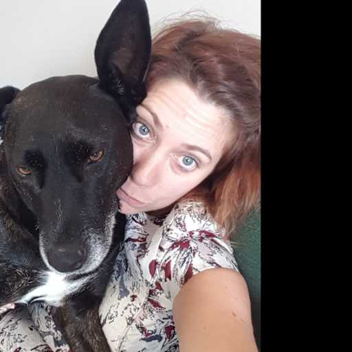 Profile image for pet sitter violaine