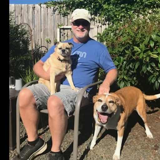 Profile image for pet sitter James