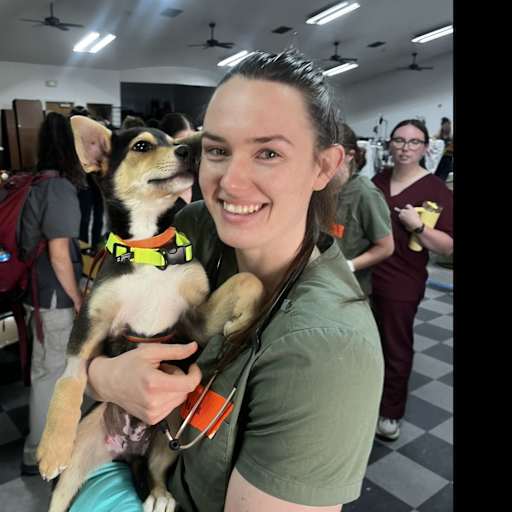 Profile image for pet sitter Mikayla