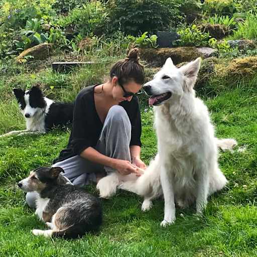 Profile image for pet sitter Hedvig