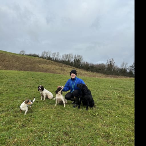 Profile image for pet sitters Aoife & Jack 
