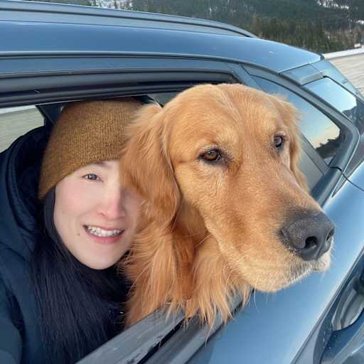 Profile image for pet sitter Chiayi