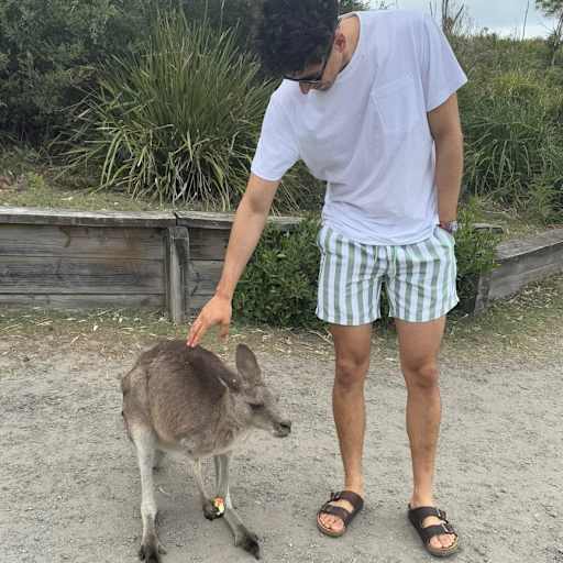 Profile image for pet sitter Ivan