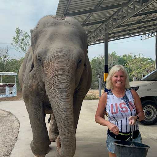 Profile image for pet sitter Ann