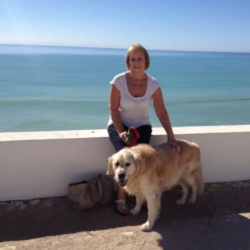 Profile image for pet sitters geraldine & Alan