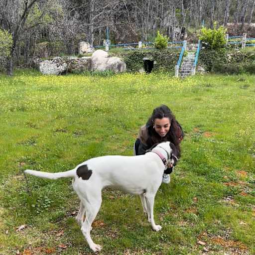 Profile image for pet sitter Alba