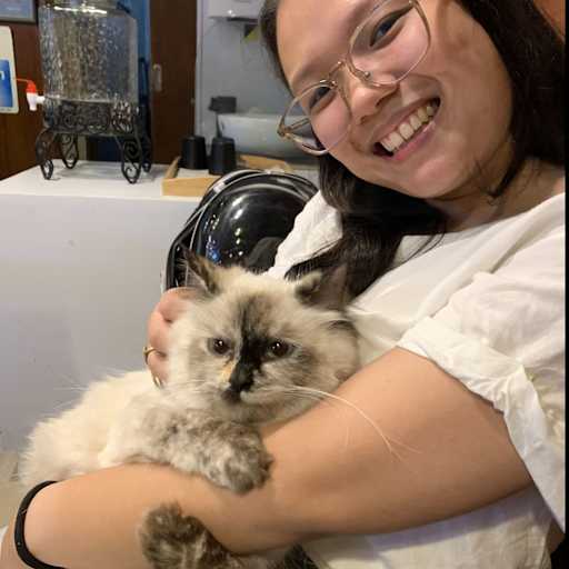 Profile image for pet sitter Gwyneth Marie