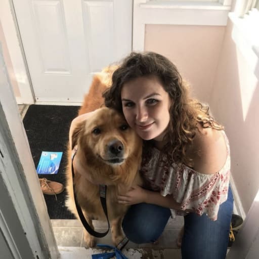 Profile image for pet sitters Emily & Jenny