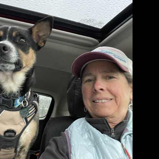 Profile image for pet sitter robin