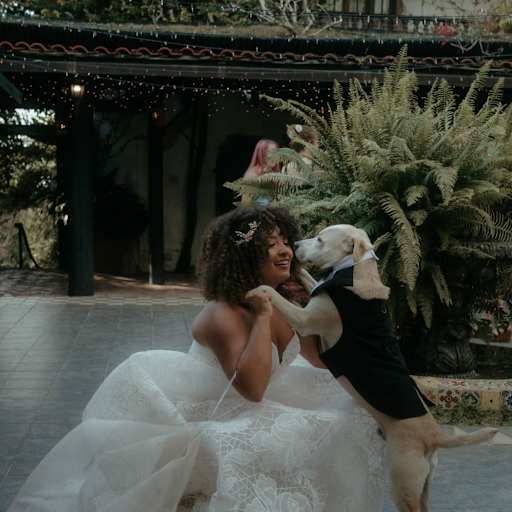 Profile image for pet sitter Zyre