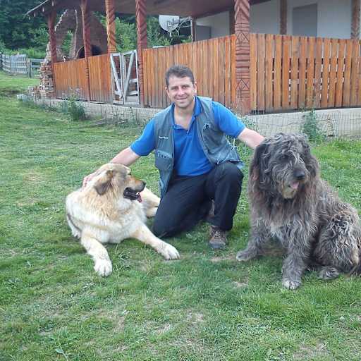 Profile image for pet sitters Dragos & Tünde