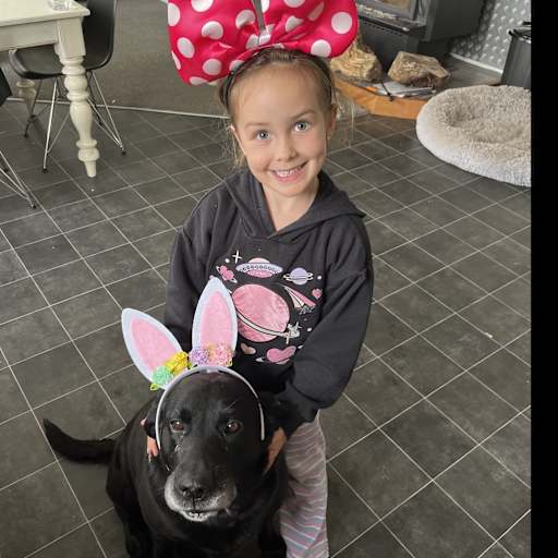 Profile image for pet sitter Linda Brownie