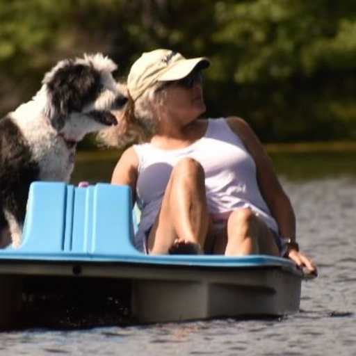 Profile image for pet sitter Margaret