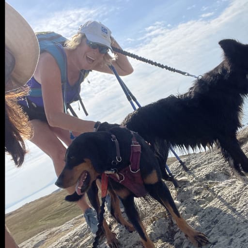 Profile image for pet sitters Sonia & Graham