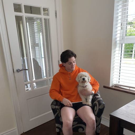 Profile image for pet sitter Matthew