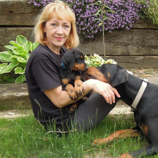 Profile image for pet sitter Olga