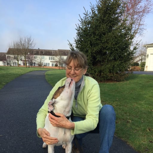 Profile image for pet sitter Judy