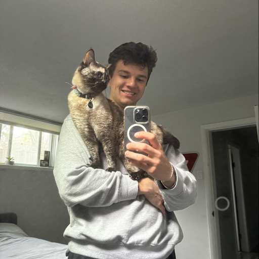 Profile image for pet sitter Skye