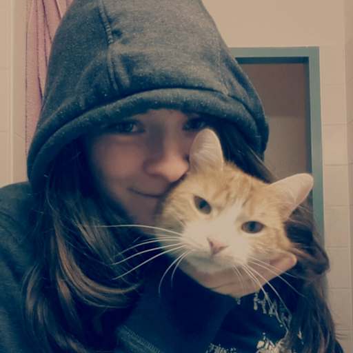 Profile image for pet sitter Kitty