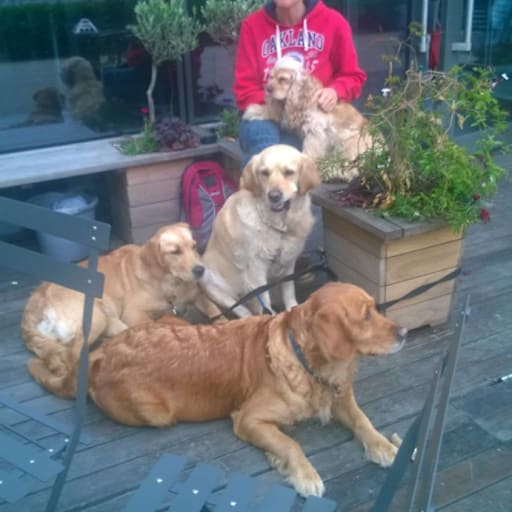 Profile image for pet sitters Sarah & Claude