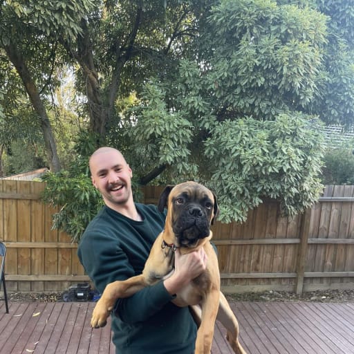Profile image for pet sitter James
