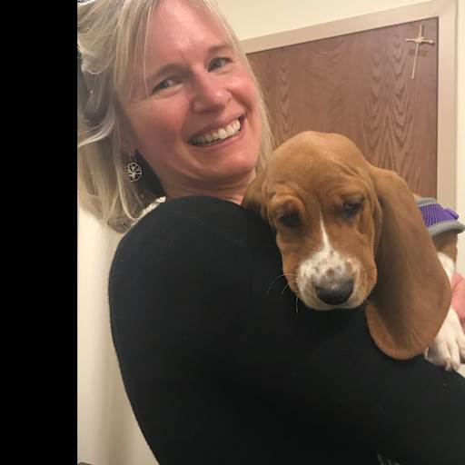 Profile image for pet sitters Sally & Andrew